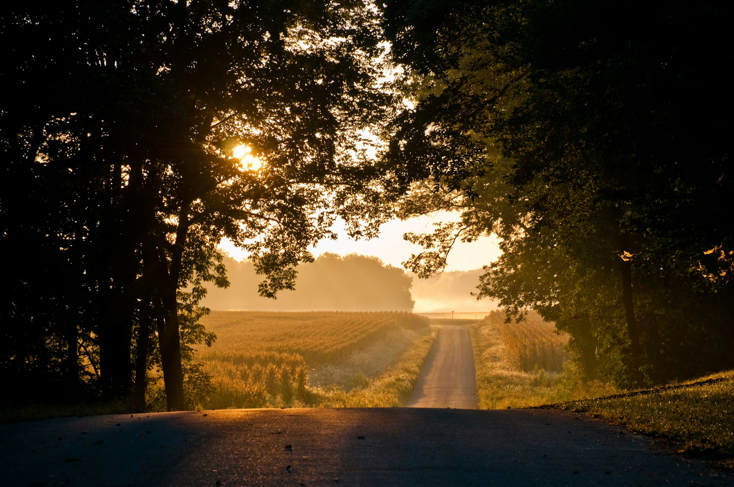 Morning light over a quiet Midwestern country road and fields